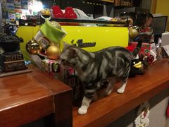 猫宝-咖法森林·咖啡  酒吧(天河店)