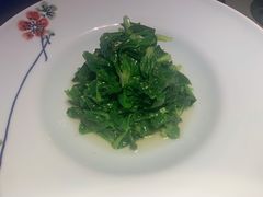 清炒豌豆尖儿-晟永興烤鸭店(五道口店)