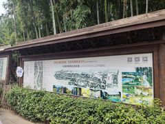 -乌镇东栅景区