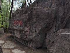 -黑龙江省森林植物园