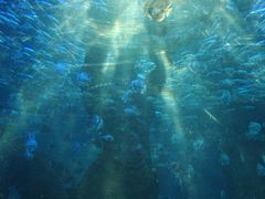 -波塞冬旅游度假区