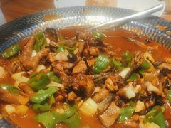 -俭寨大盘鸡·缸子肉·小公鸡·新疆菜(云通店)