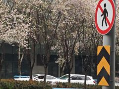 -重庆小面·抄手(解放碑好吃街店)