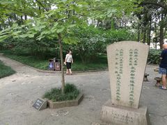 -汇龙潭