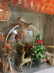 点击看大图 -花隐瑜伽·普拉提·红绳