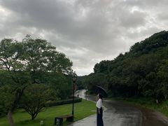 -龙寺生态园