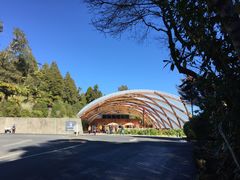 -怀托摩萤火虫洞