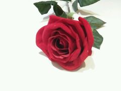 -美豪怡致酒店(上海长寿路店)