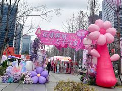 -合景·悠方(成都店)