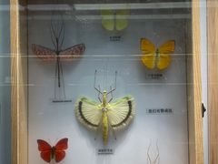 -大连自然博物馆