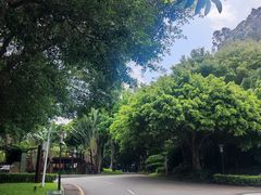 -深圳国际园林花卉博览园