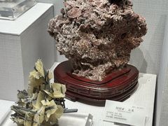 -湖南省地质博物馆