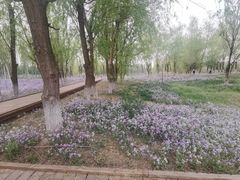 -东郊湿地公园