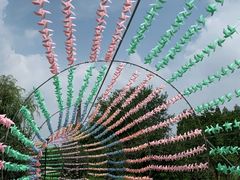 -祥源·阜阳生态乐园