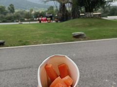 -太湖龙之梦