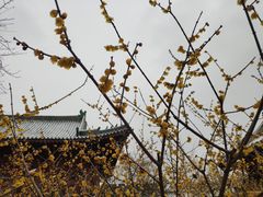 -开封府