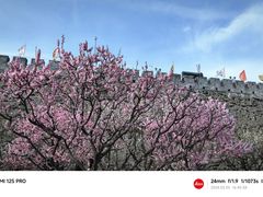 -北京明城墙遗址公园
