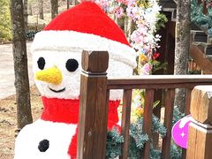 -洛阳白云山景区