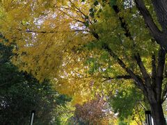 -北京国家会计学院