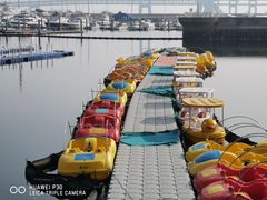-大连圣亚海洋世界