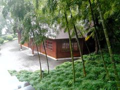 景点-上海佘山国家森林公园西佘山园