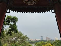 -莲花池公园