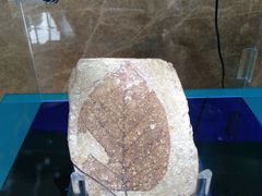 -湖南省地质博物馆