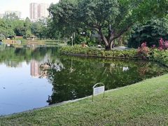 -晓港公园