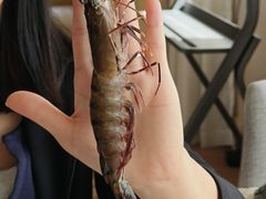 -鲤鱼洲酒店港鲤咖啡厅