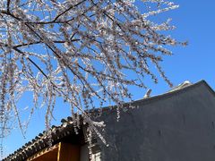 -三里河公园