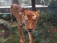 -国家自然博物馆