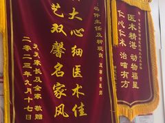 -中农国际动物医院24小时·猫科·骨科·急重症中心