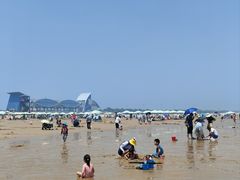 -日照海滨国家森林公园