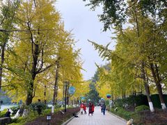 -桂林两江四湖景区