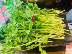 -牛村来人潮汕牛肉火锅(西单店)