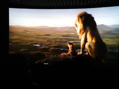-博纳国际影城IMAX(中央大道店)