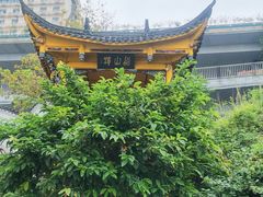 -泸州老窖景区