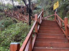 -大岭沟猕猴桃谷风景区