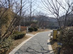 -大连金石滩绿发温泉假日酒店