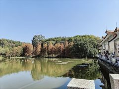 -鹿鸣酒家(越秀店)