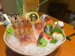 -月龍吟(朝龙汇店)