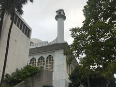 -九龙公园