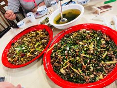 -东吴霸王兔(松青路店)