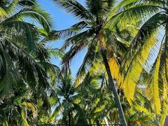 -三亚海棠湾万丽度假酒店