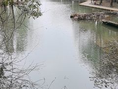 -柯岩风景区