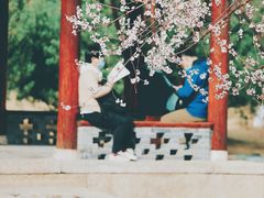 -三里河公园