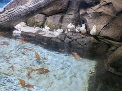 -海合安青岛极地海洋公园