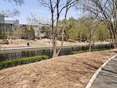 -大望京公园