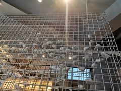 -喜茶(佛山顺德大良东乐路店)