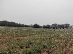 -大连铭湖国际观光牧场